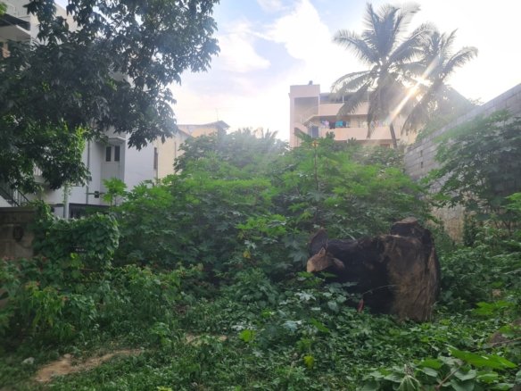 Plot for Sale in Nobo Nagar, Kalena Agrahara, Bangalore | https://renthouzz.in/property-type/plot/