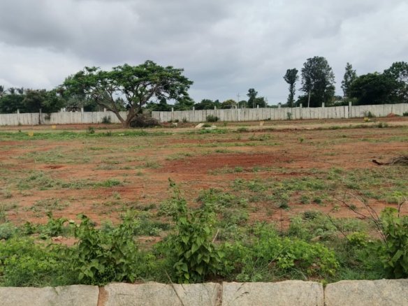 Plots for sale | Arasanahalli | Devanahalli | Bangalore | www.renthouzz.in/