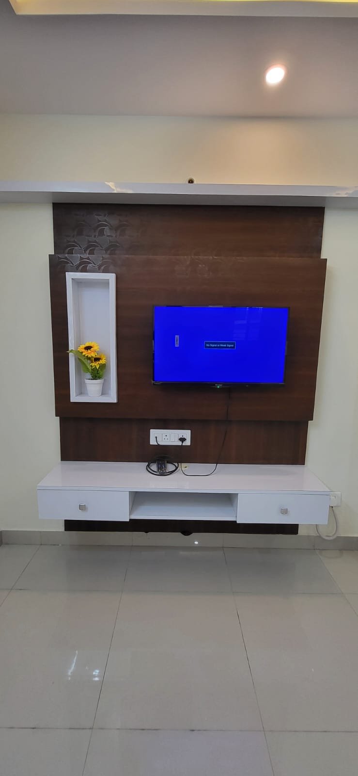 Tv cabnit in fully furnished 1bhk flat