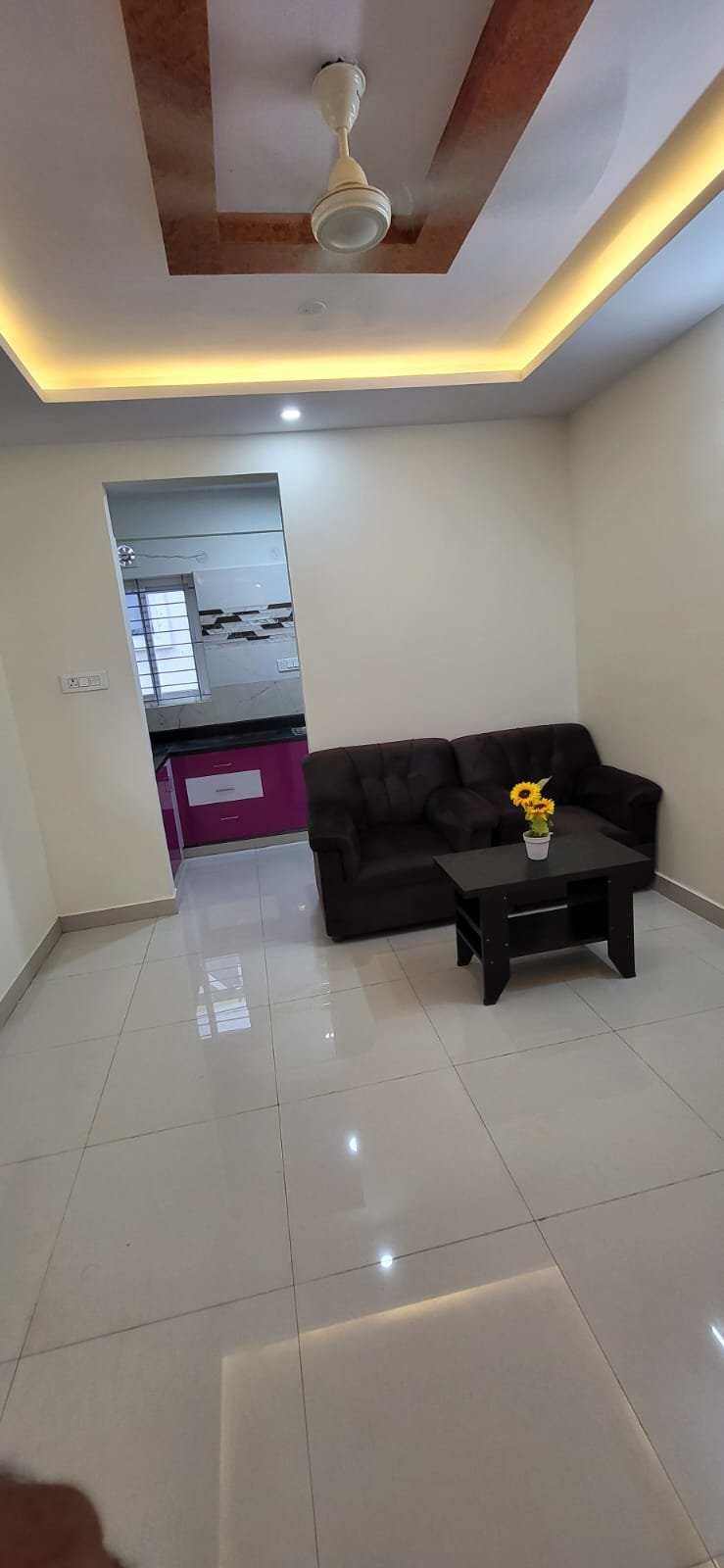 Sofa in hall fully furnished flat 1bhk